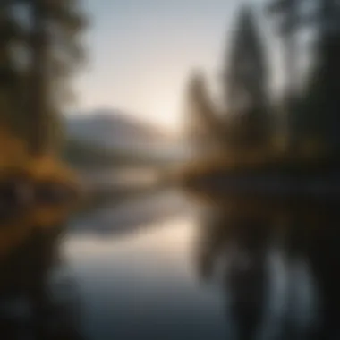 Mindful Reflection by the Lake