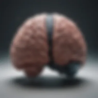 Brain Activity and Hallucinations Neuroscientific depiction of brain activity during auditory hallucinations