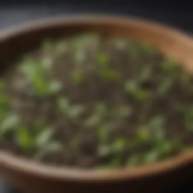 Diverse Tea Leaves for Relaxation Close-up of different tea leaves in a wooden bowl