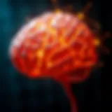 Illustration depicting the brain's activity in ADHD
