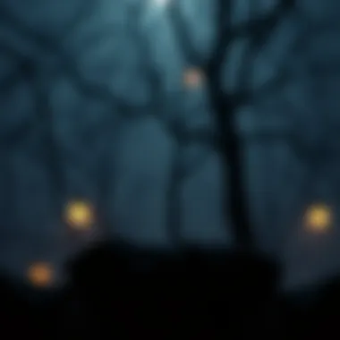 An illustration of psychological roots of infallibility