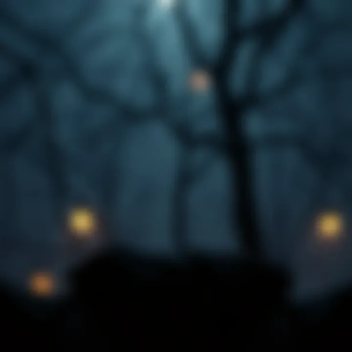 An illustration of psychological roots of infallibility