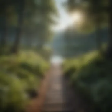 Illustration depicting a serene forest setting with a path leading towards a calm lake