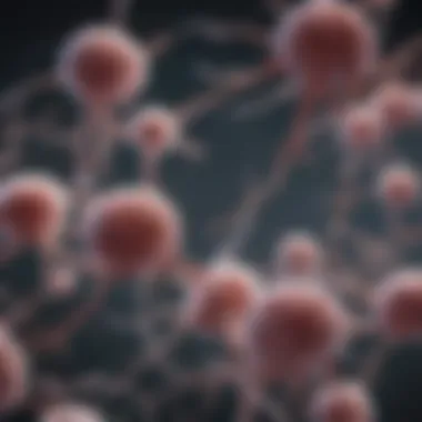 A close-up of brain cells to symbolize cognitive function and memory.