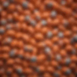 Abstract representation of brain function related to Adderall 15 mg capsules