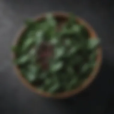 Dark green spinach leaves in a salad bowl