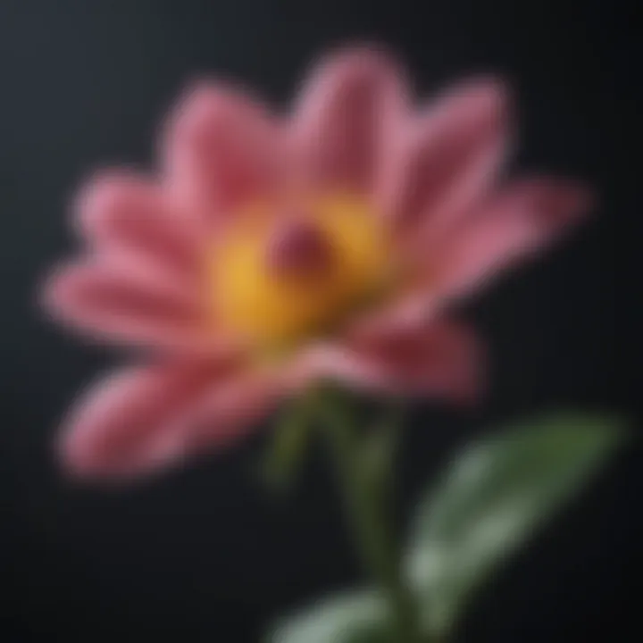 Illustration of a fragile flower blooming amidst darkness