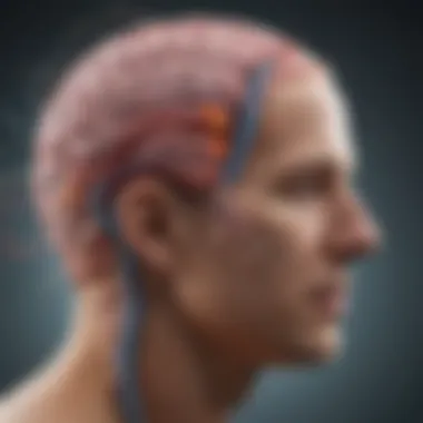 Decoding the Communication Pathways of the Gut-Brain Axis Gut-Brain Axis Communication Pathways