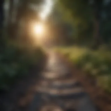 Illustration of a path leading towards a bright light symbolizing moving forward