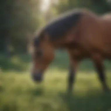 The Tranquility of Horses A serene scene of a horse grazing in a tranquil meadow, symbolizing peace and calmness.