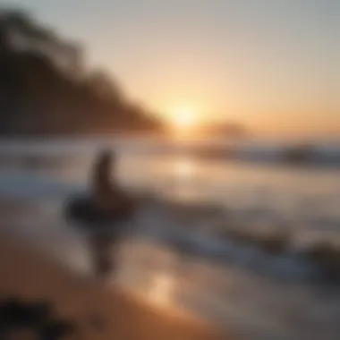 Embracing Nature for Inner Peace Nature scene depicting tranquility with gentle waves and a sunrise