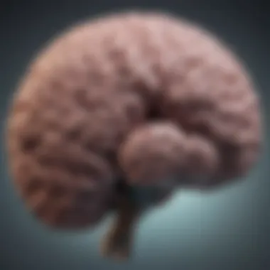 Graphic representation of the brain highlighting affected areas in bipolar disorder