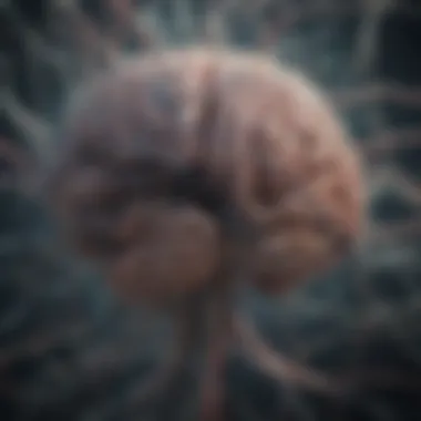 Neural Networks Unraveled Illustration depicting the complexity of brain connections