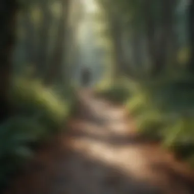 Person walking along a winding path in a forest