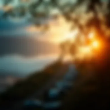 Path to Emotional Peace A serene landscape representing emotional peace