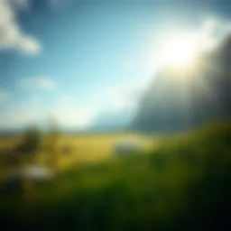 A serene landscape symbolizing tranquility and peace