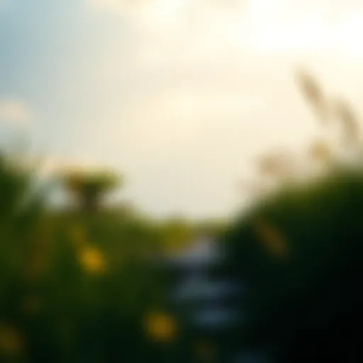 Embracing Serenity: A Pathway to Mental Well-being A serene landscape depicting tranquility and hope