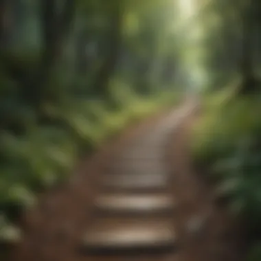 A winding path through a lush green forest symbolizing inner journey and growth