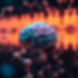 Illustration of brain chemistry related to OCD