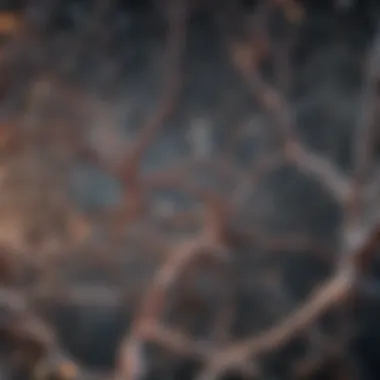 Memory Loss Impact on Brain Cells Abstract representation of memory loss impact on brain cells