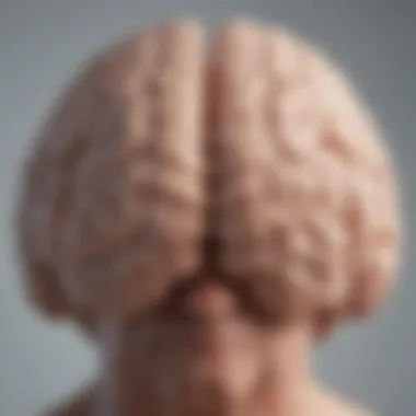 Brain Activation through Mindfulness An illustration of the brain highlighting areas affected by mindfulness.