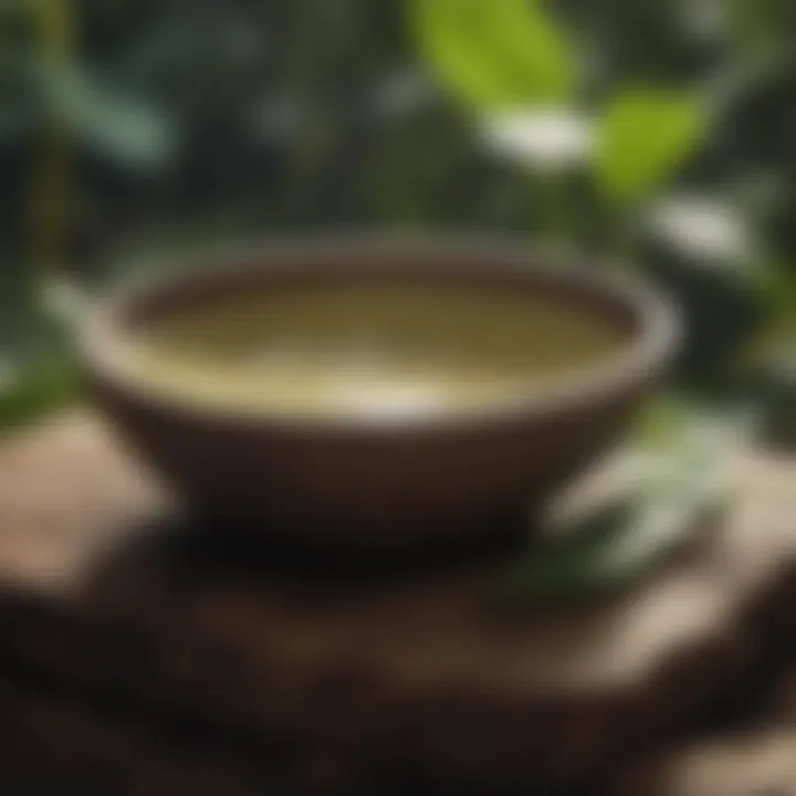 Nature's Gift: Kava's Healing Potential