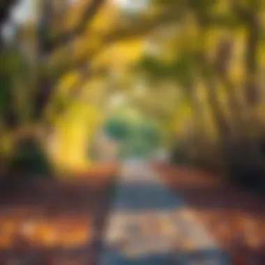 A path leading towards a brighter future