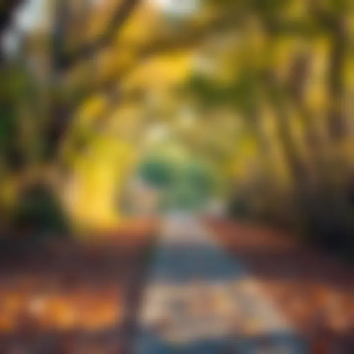 A path leading towards a brighter future