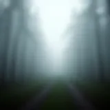 A serene landscape depicting a pathway through a misty forest, symbolizing the journey through depression.