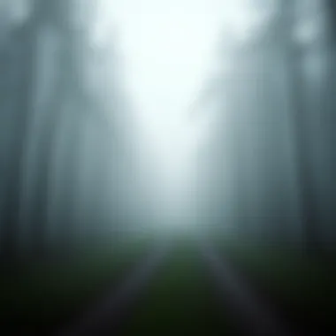 Journey Through the Unknown A serene landscape depicting a pathway through a misty forest, symbolizing the journey through depression.