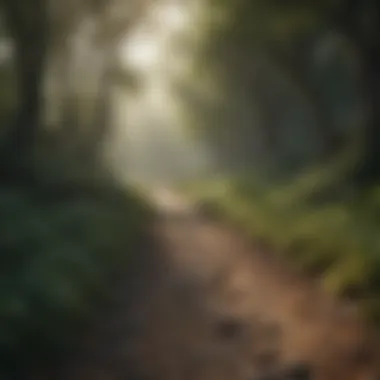 The Path to Recovery A tranquil landscape illustrating the journey of healing