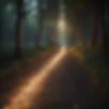 Ethereal Light Illuminating Path Ethereal Light Illuminating Path
