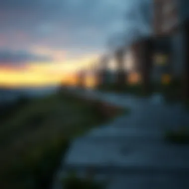 Pathways symbolizing coping mechanisms