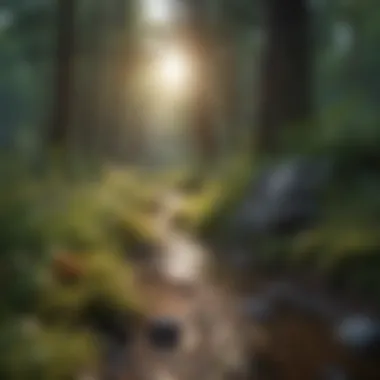 Nature as a Source of Resilience A calming environment featuring nature and mindfulness