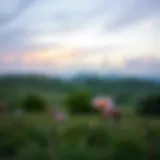 A serene landscape depicting calmness and tranquility