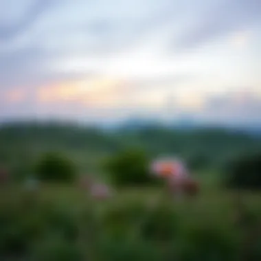 A serene landscape depicting calmness and tranquility