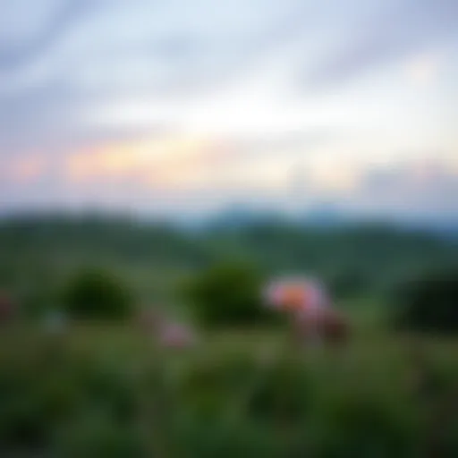 A serene landscape depicting calmness and tranquility