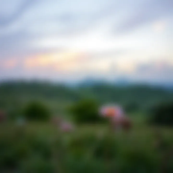 A serene landscape depicting calmness and tranquility