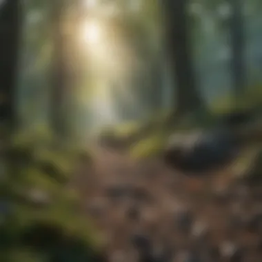 Nature's Healing Power A nature scene illustrating the importance of outdoor activities for mental health.