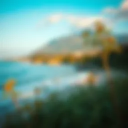 A serene landscape illustrating mental peace