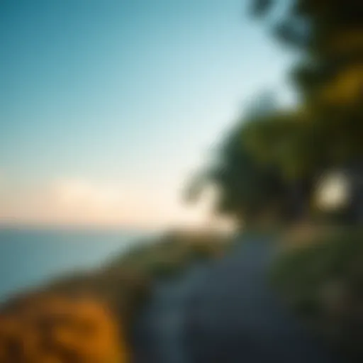 A serene landscape symbolizing recovery and hope