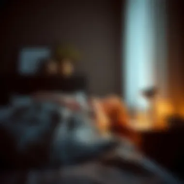 Navigating the Realm of Sleeplessness Summary Navigating the Realm of Sleeplessness Summary