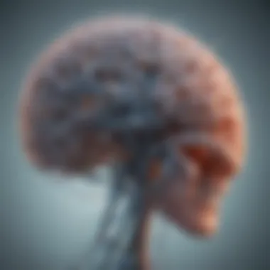 Neural Connections in the Brain Illustration depicting neural connections in the brain