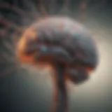Illustration depicting neural pathways in the brain