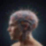 Neurotransmitter Pathways in the Brain Illustration depicting neurotransmitter pathways in the brain