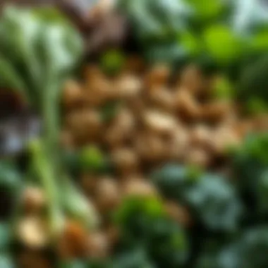 Nutrients from Leafy Greens and Nuts An assortment of leafy greens and nuts