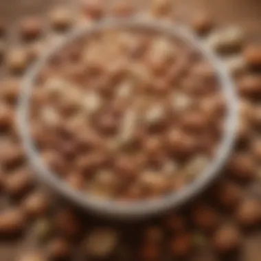 Nuts and Seeds for Brain Health Close-up of a bowl filled with nuts and seeds, a source of healthy fats