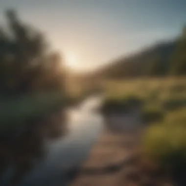 Journey of Personal Growth A serene landscape symbolizing personal growth and reflection