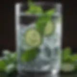 Refreshing Cucumber Mint Infused Water