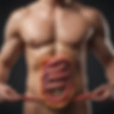 Optimal Digestive Health Illustration of a person with a healthy digestive system